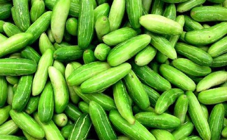 Ivy Gourd (கோவைக்காய்) 250g Vegetables & Fruits Komalas Vegemart