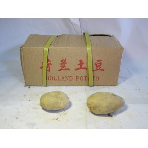 Potato Box (உருளைக்கிழங்கு பெட்டி)