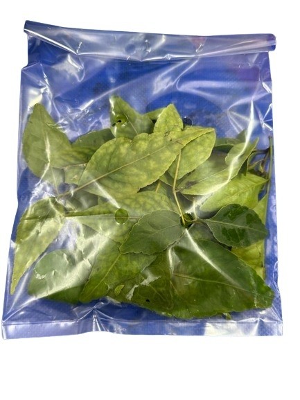 Vilvam leaf packet(Siva Leaf)