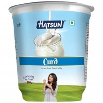 HATSUN Natural Set Yoghurt (Chilled) - 1L